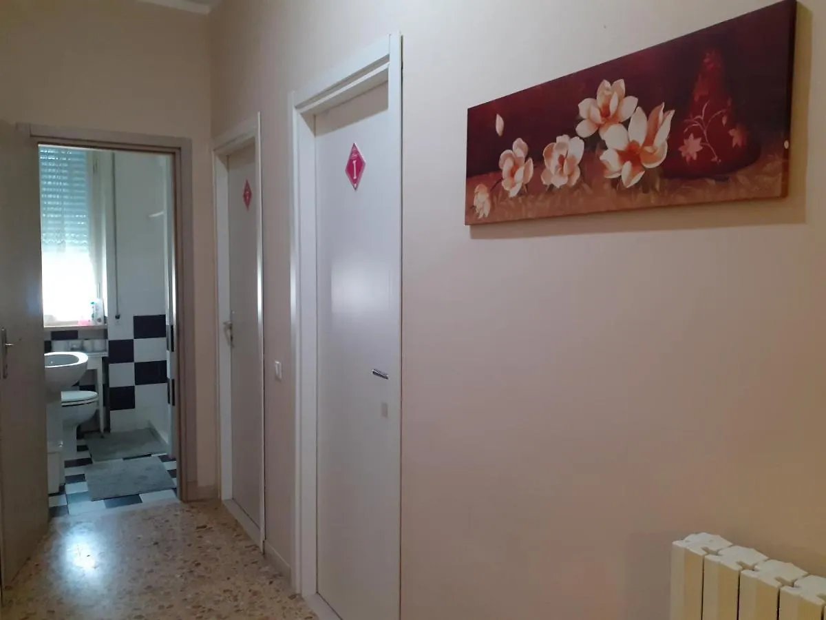 Startline Hotel Pisa Guest house